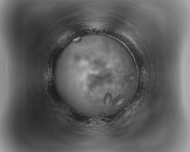 X0000093400918200710190921