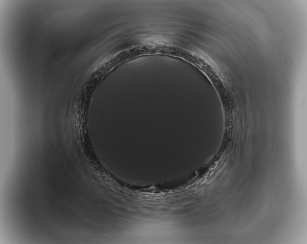 X0000093400919200710190921