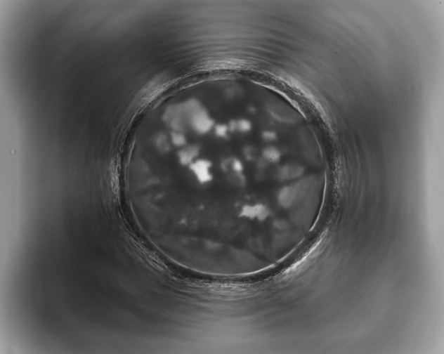 X0000093400921200710190921
