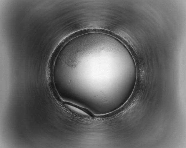 X0000093400926200710190921