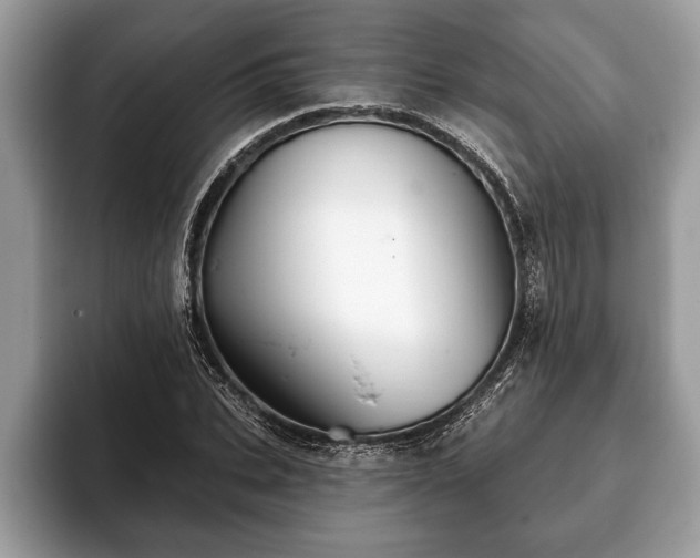 X0000093400927200710190921
