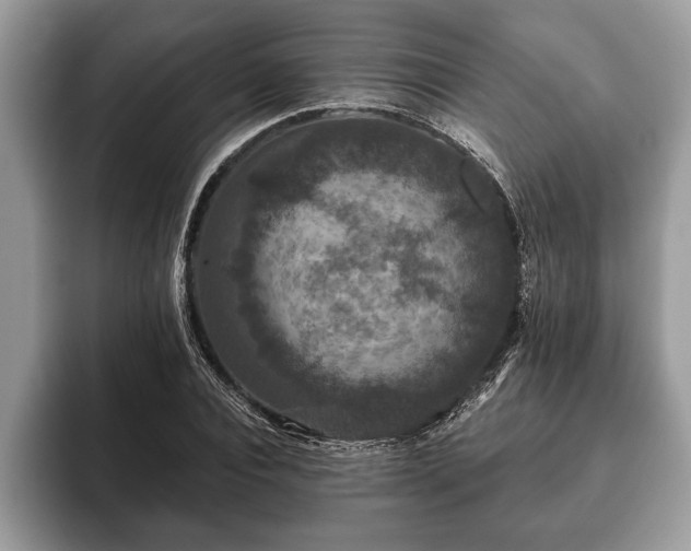 X0000093400928200710190921