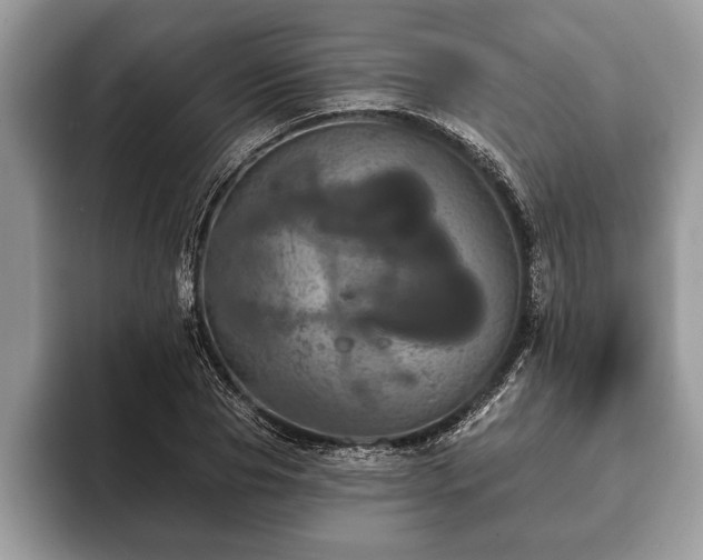 X0000093400929200710190921