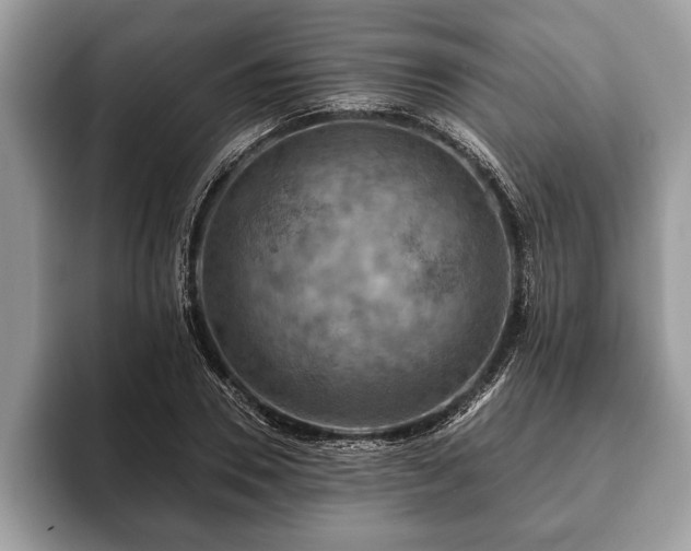 X0000093400930200710190921