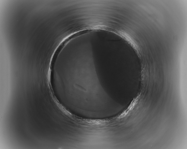 X0000093400932200710190921