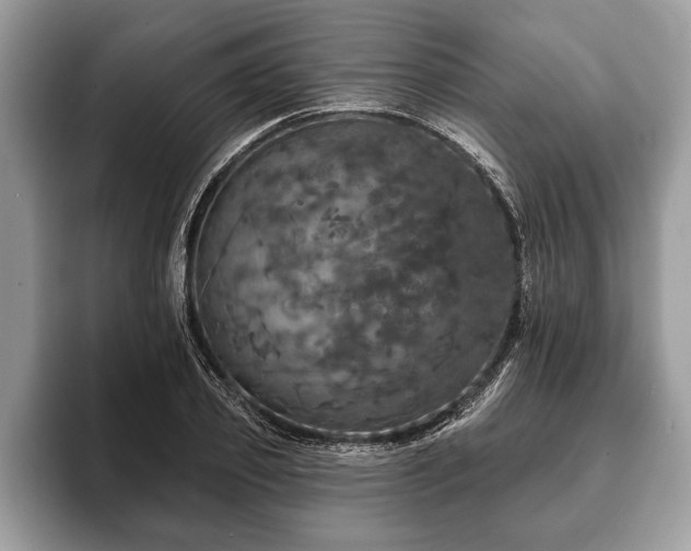 X0000093400933200710190921