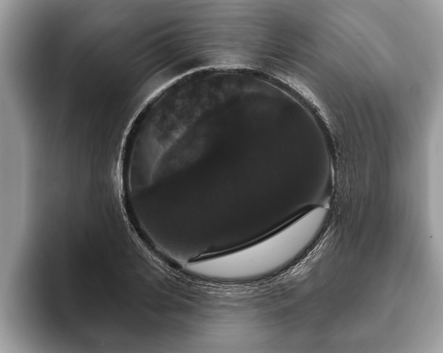 X0000093400935200710190921