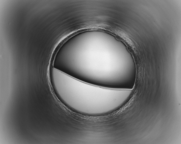 X0000093400936200710190921