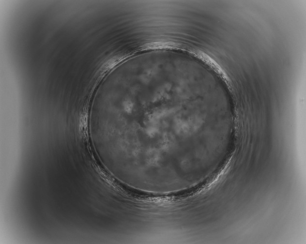 X0000093400937200710190921