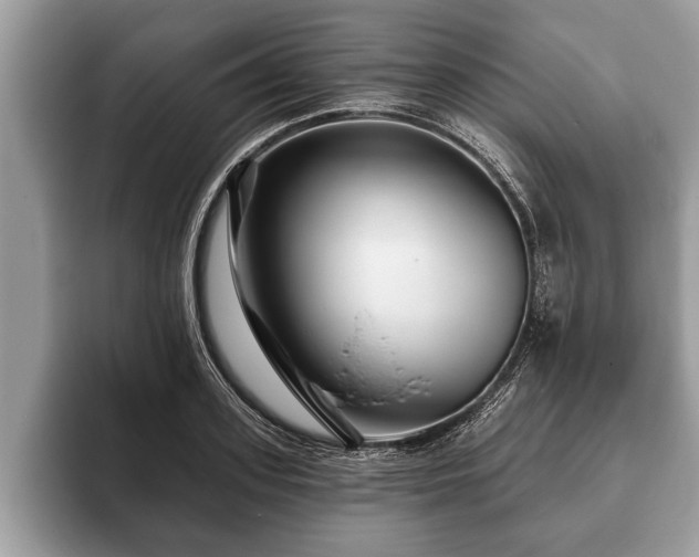 X0000093400939200710190921