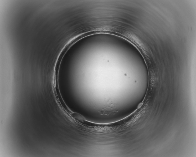 X0000093400940200710190921