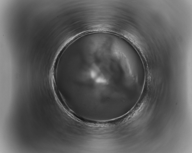 X0000093400941200710190921
