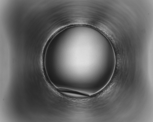 X0000093400942200710190921