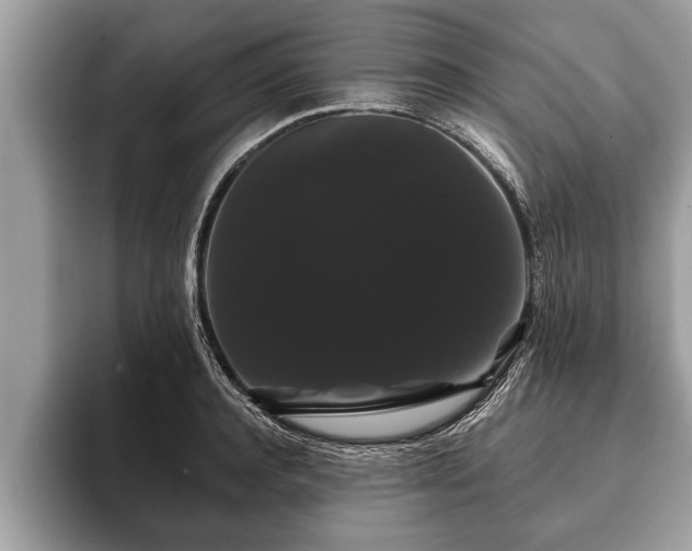 X0000093400944200710190921