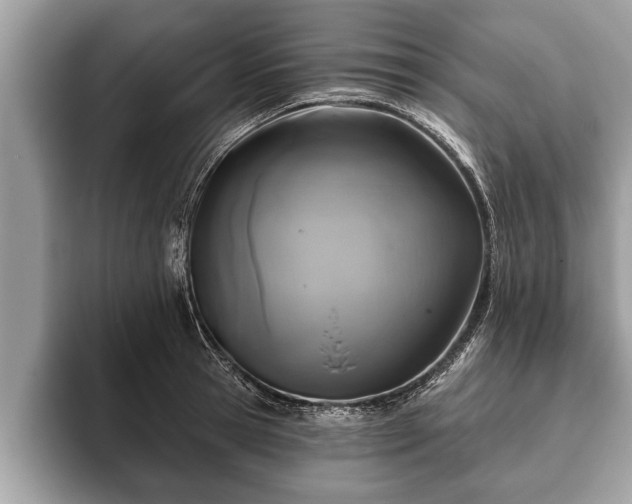X0000093400945200710190921