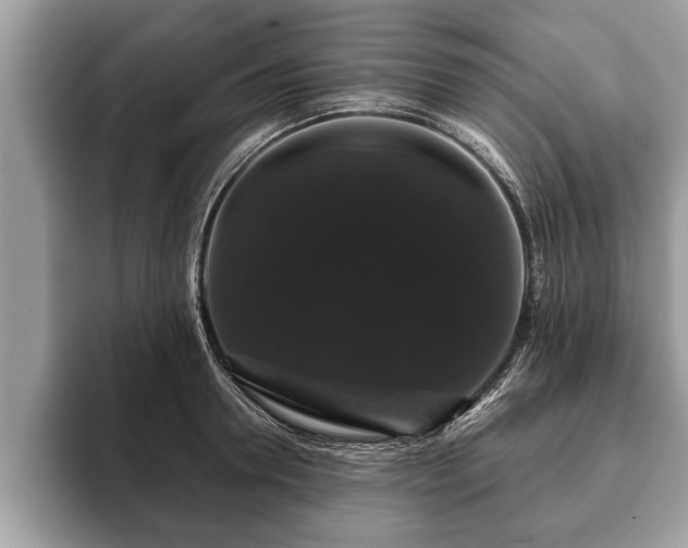 X0000093400946200710190921