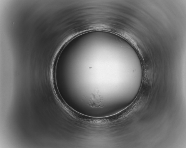 X0000093400947200710190921