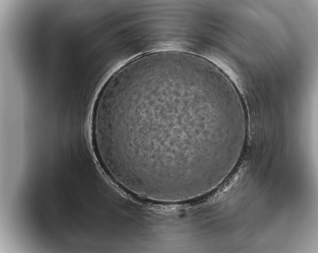 X0000093400949200710190921