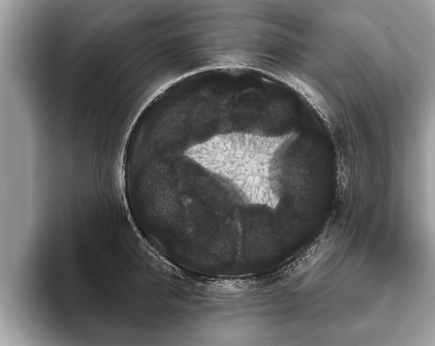 X0000093400950200710190921