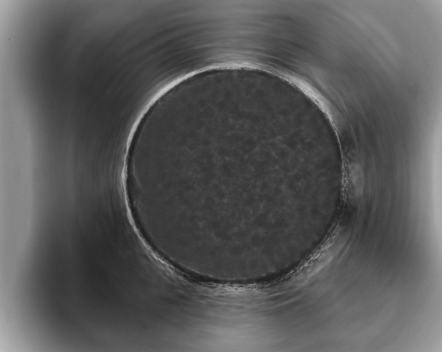 X0000093400951200710190921