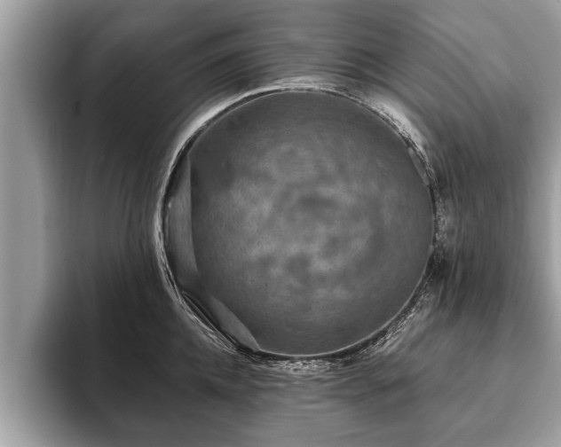 X0000093400952200710190921