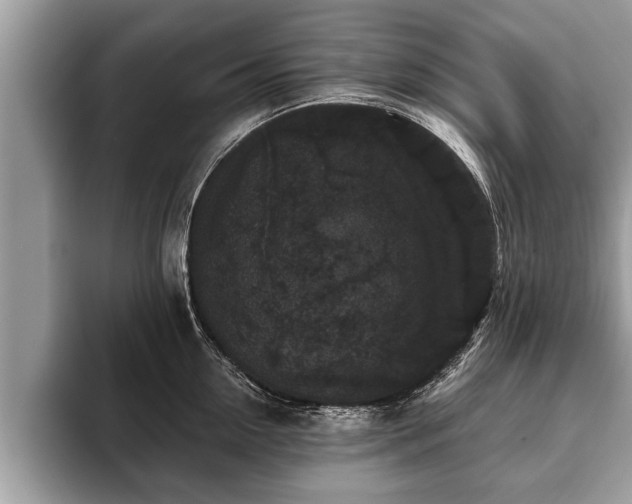 X0000093400954200710190921