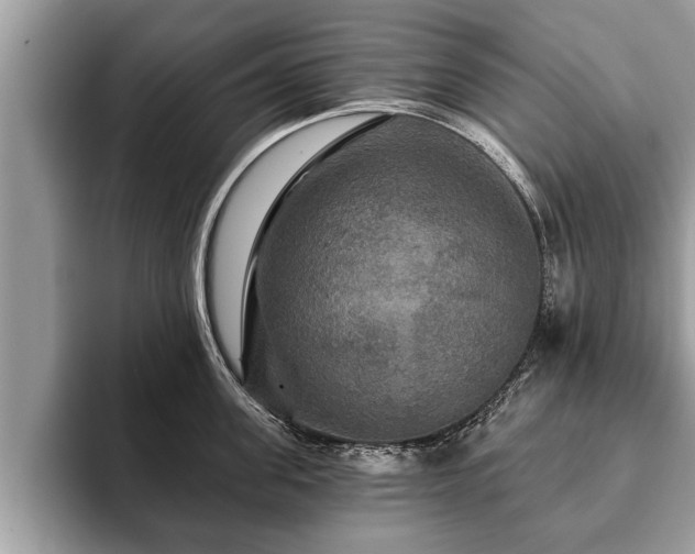 X0000093400955200710190921
