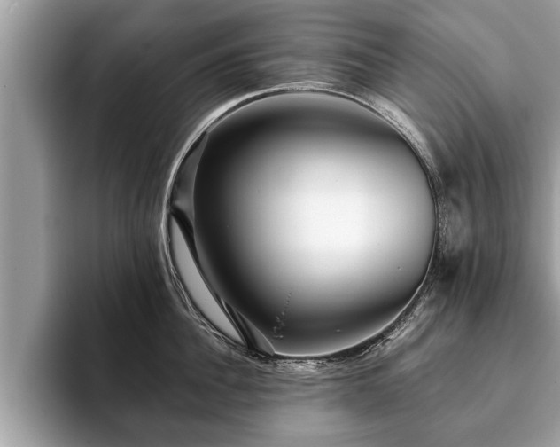X0000093400956200710190921