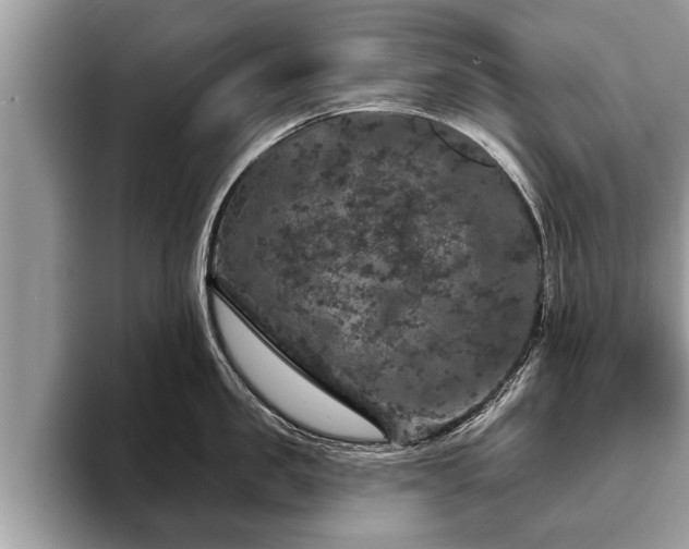X0000093400957200710190921
