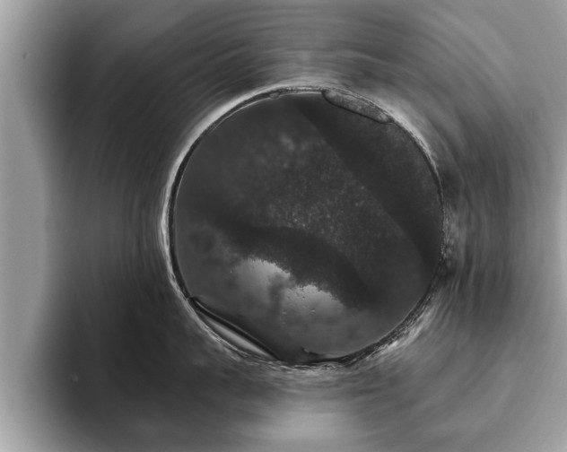 X0000093400959200710190921
