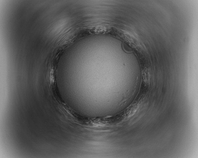 X0000093400962200710190921