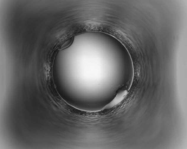 X0000093400964200710190921