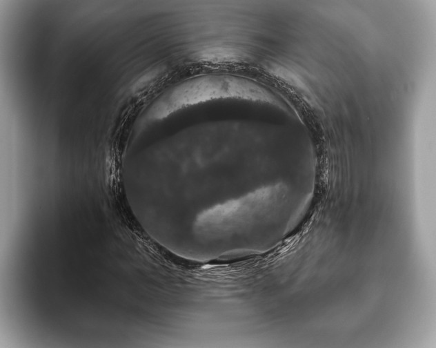 X0000093400966200710190921