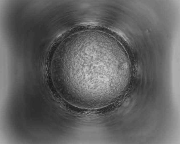 X0000093400967200710190921