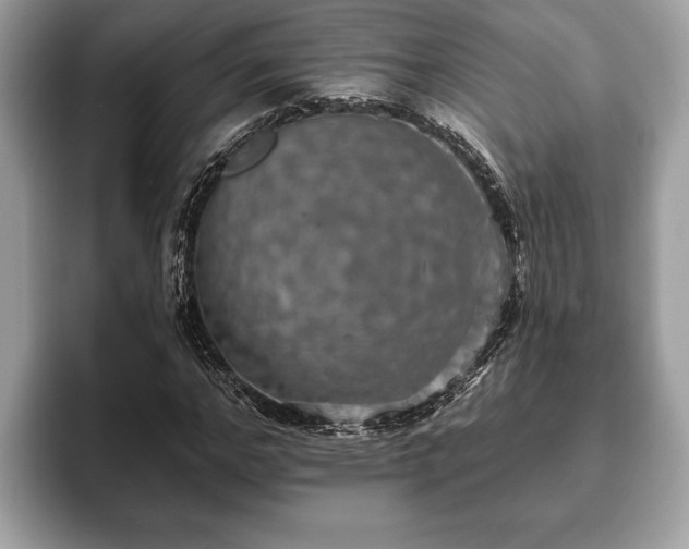 X0000093400968200710190921