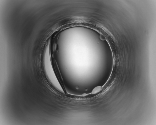 X0000093400969200710190921
