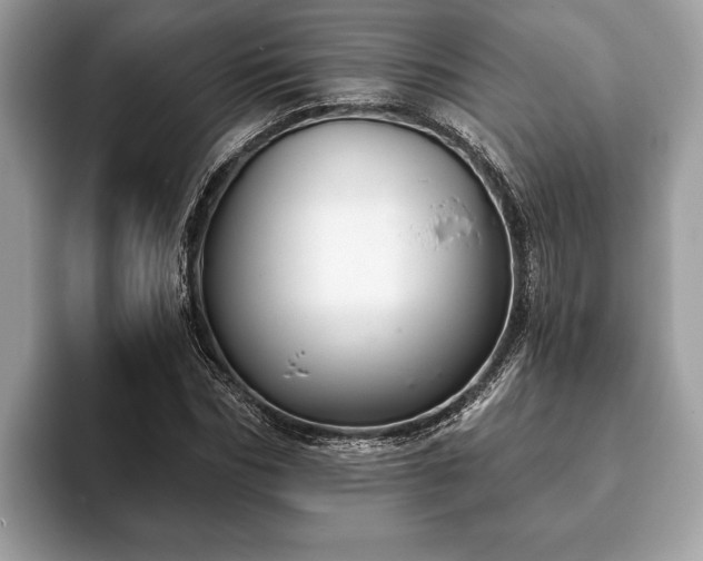 X0000093400970200710190921