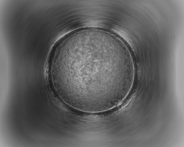 X0000093400971200710190921