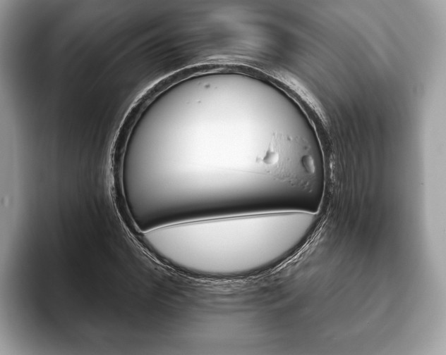 X0000093400972200710190921