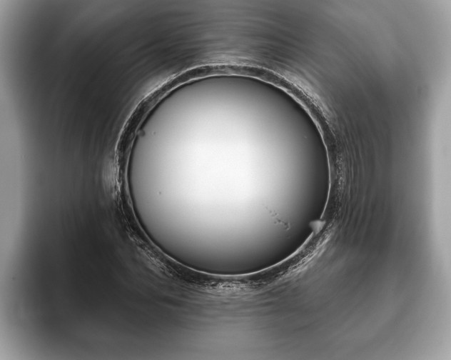 X0000093400974200710190921
