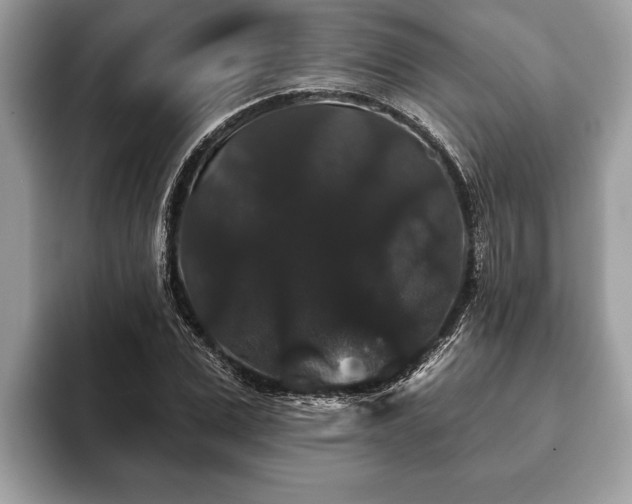X0000093400975200710190921