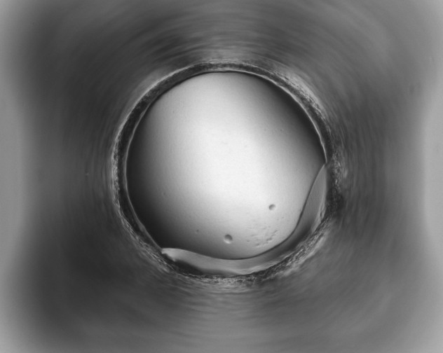 X0000093400976200710190921