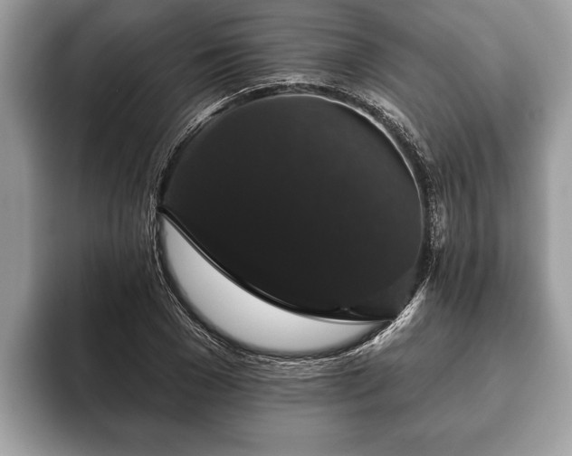 X0000093400977200710190921