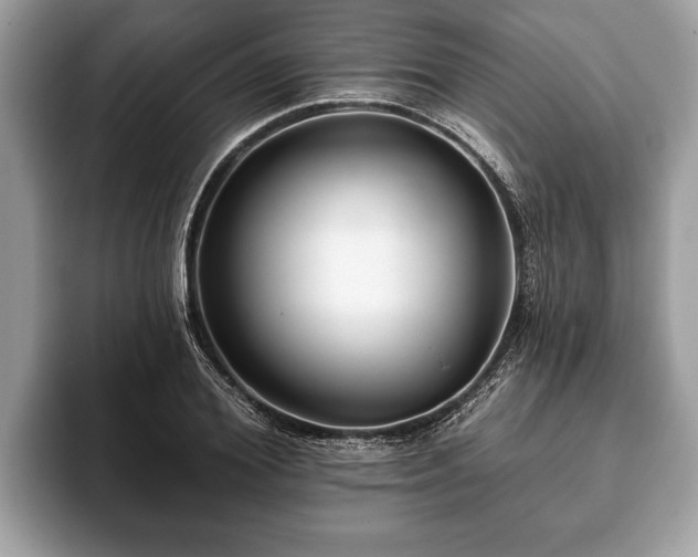X0000093400980200710190920