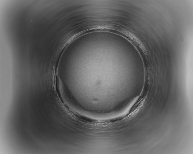 X0000093400985200710190920