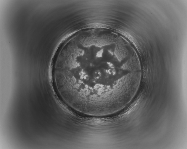 X0000093400987200710190920