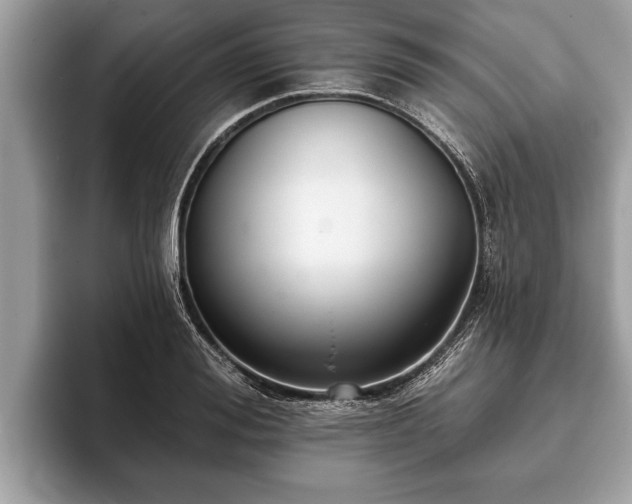 X0000093400988200710190920
