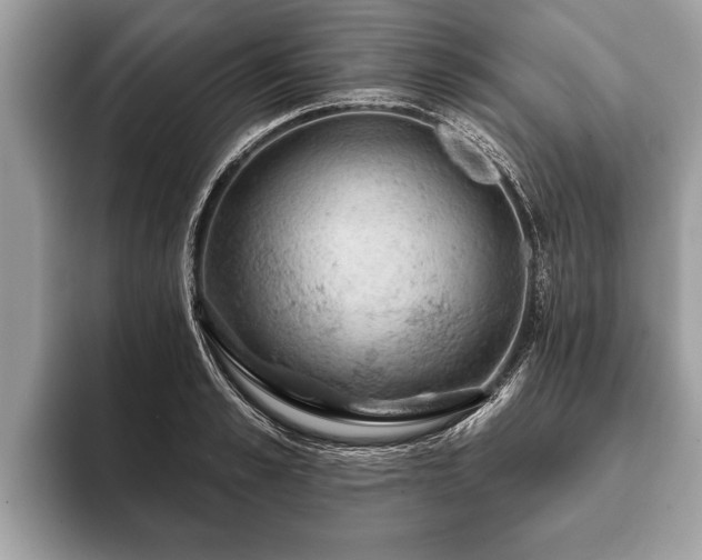 X0000093400989200710190920