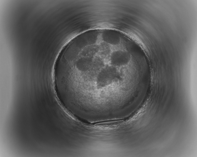 X0000093400990200710190920