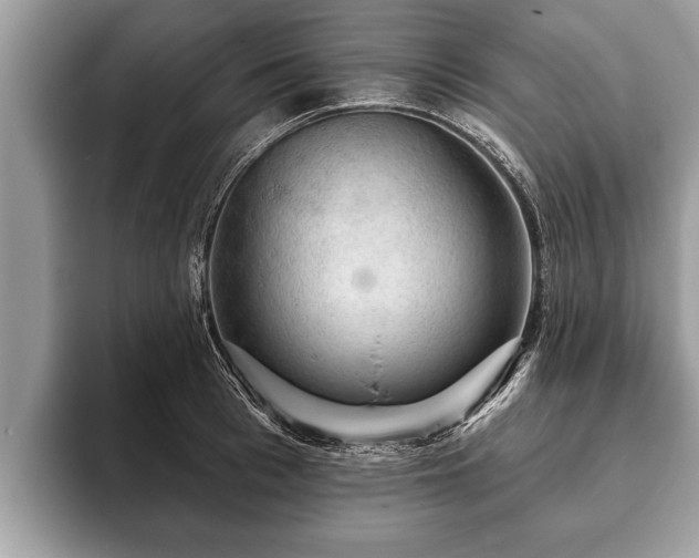X0000093400993200710190920